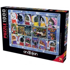 Anatolian 1000 - New Year's cats